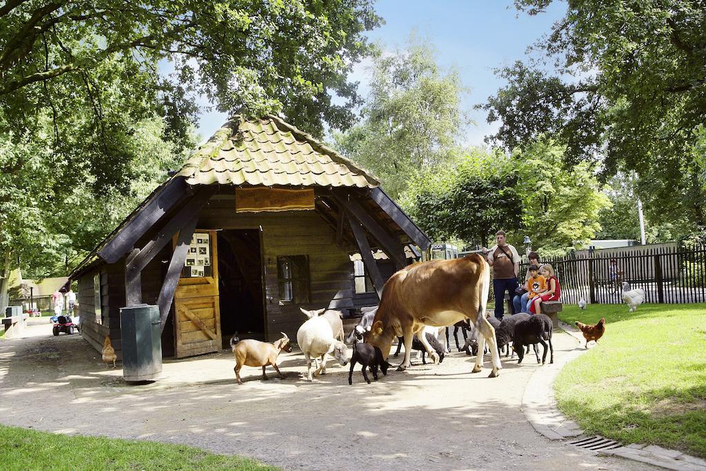 Center Parcs Meerdal Limburg-Brabant America Exterior foto